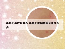 牛身上牛皮癣咋办 牛身上有癣的图片用什么药