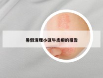 暑假清理小区牛皮癣的报告