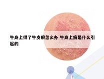 牛身上得了牛皮癣怎么办 牛身上癣是什么引起的