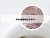 师长树叶子能治癣吗