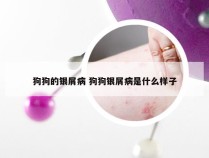 狗狗的银屑病 狗狗银屑病是什么样子