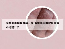 海带表面像牛皮癣一样 海带表面有密密麻麻小泡是什么