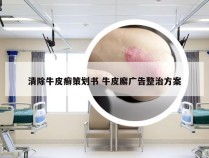 清除牛皮癣策划书 牛皮廨广告整治方案