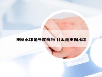 主图水印是牛皮癣吗 什么是主图水印