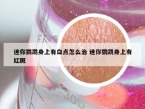 迷你鹦鹉身上有白点怎么治 迷你鹦鹉身上有红斑